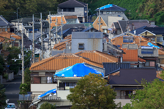風災、雹（ひょう）災、雪災